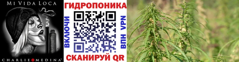 Купить APVP  МЕФ  ГАШ  Амфетамин  Конопля  Выборг