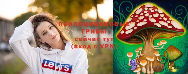прущий лед Козловка